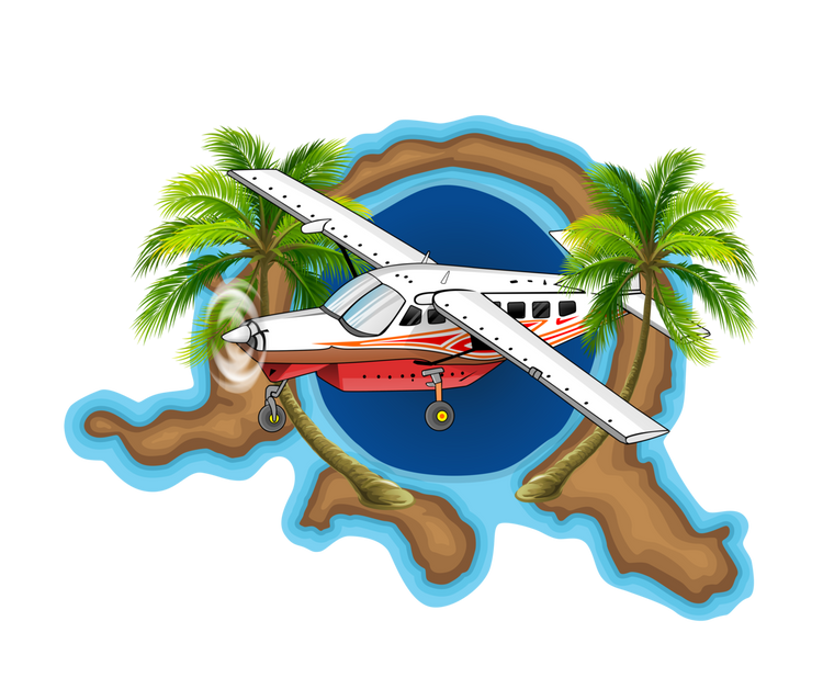 Cessna Caravan Drawing Art