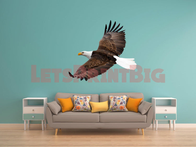 Eagles - Animals - Critters