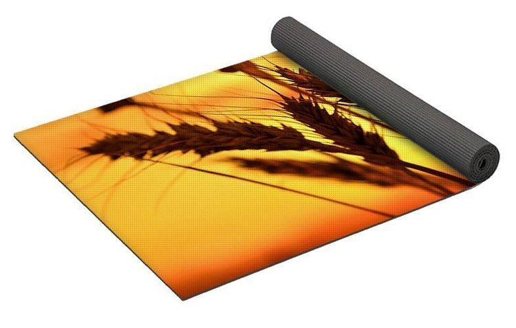Yoga Mats Designer