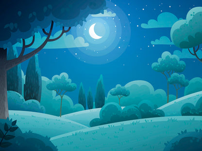 Kids Room 010 Wall Mural Wallpaper