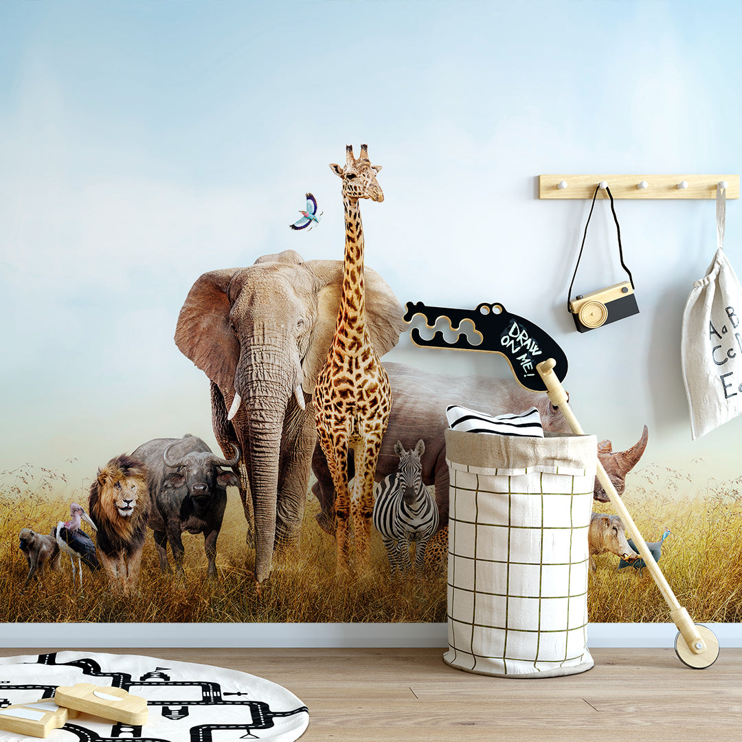 Kids Room 076 Wall Mural Wallpaper