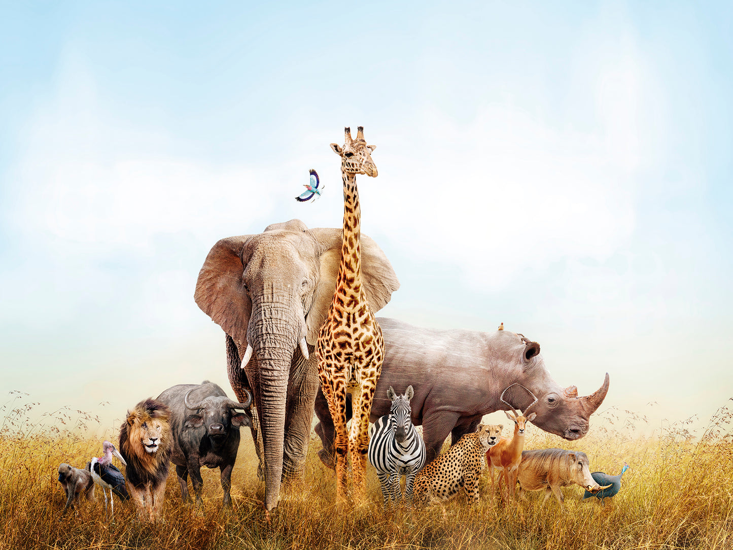 Kids Room 076 Wall Mural Wallpaper