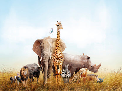 Kids Room 076 Wall Mural Wallpaper