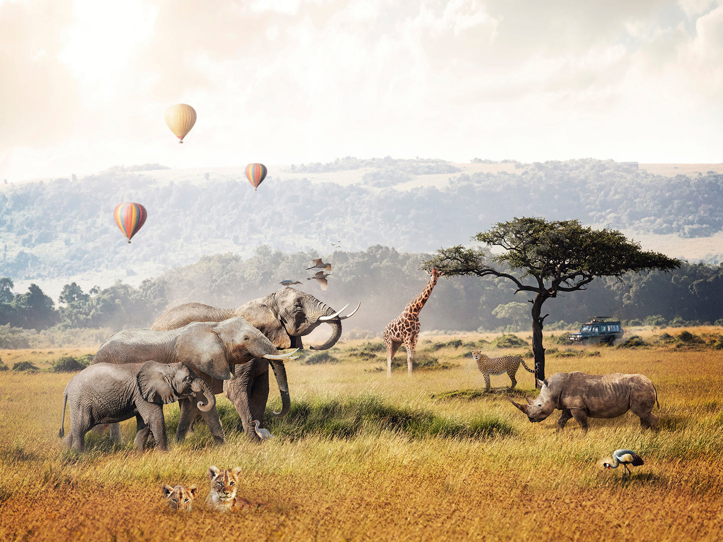 Kids Room 077 Wall Mural Wallpaper