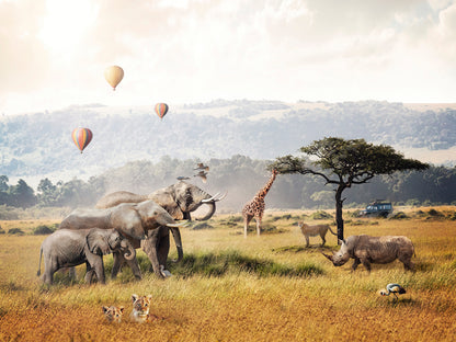 Kids Room 077 Wall Mural Wallpaper