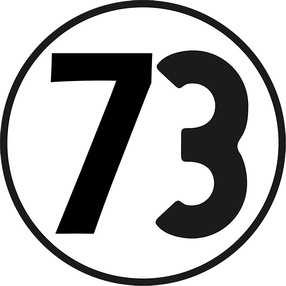 Number 73 Herbie the Luv Bug decal sticker