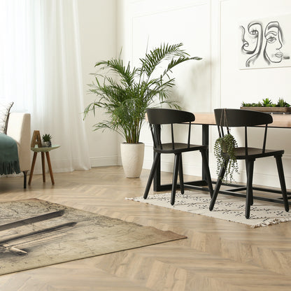 Ag Biplane Sprayer World Map Rug 5 Sizes