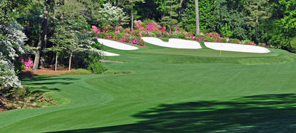 Augusta National Golf Club Golf Course Wallpaper Mural