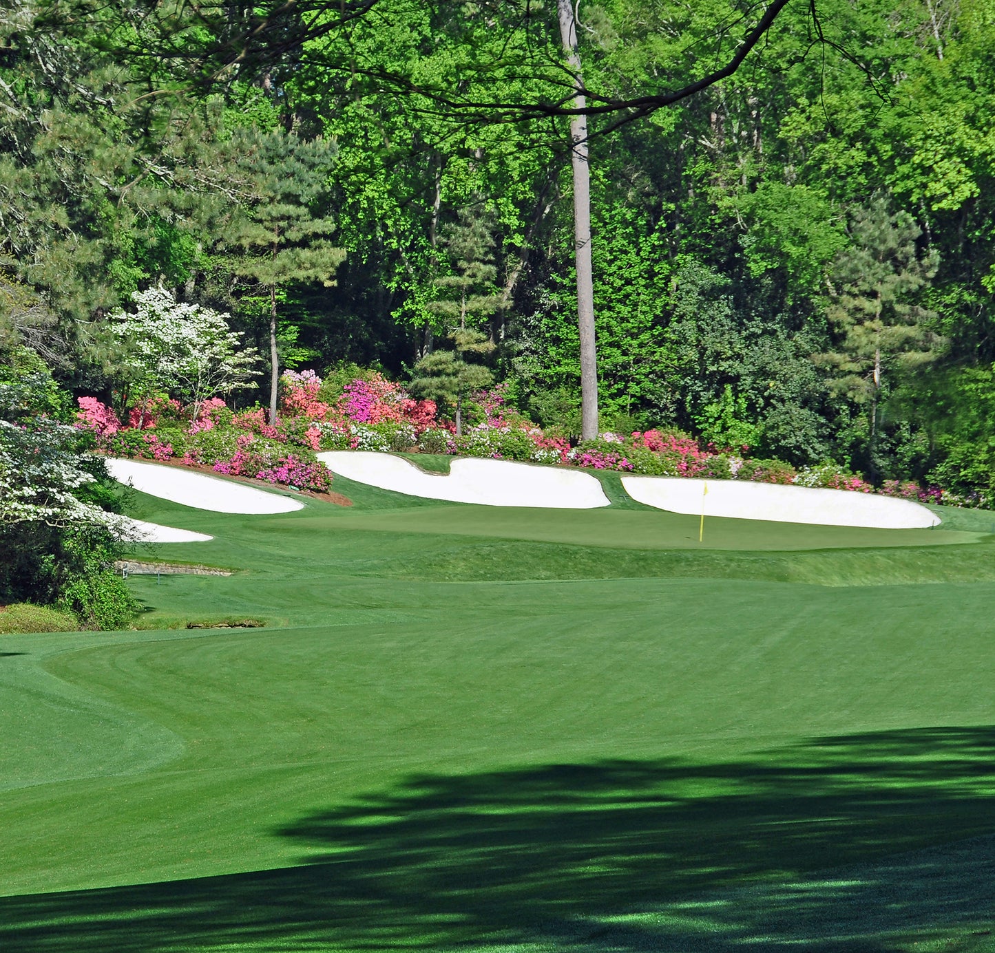 Augusta National Golf Club Golf Course Wallpaper Mural