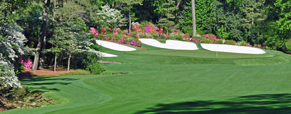 Augusta National Golf Club Golf Course Wallpaper Mural