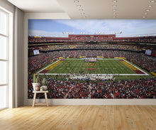 Northwest Stadium Wall Mural
