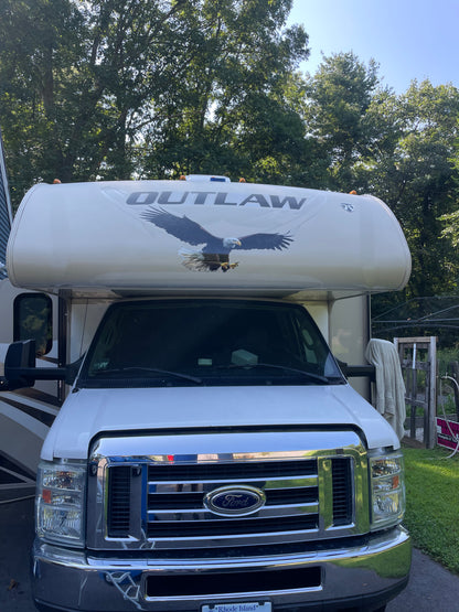 American Bald Eagle Decal 4 sizes Indoors or Outdoors