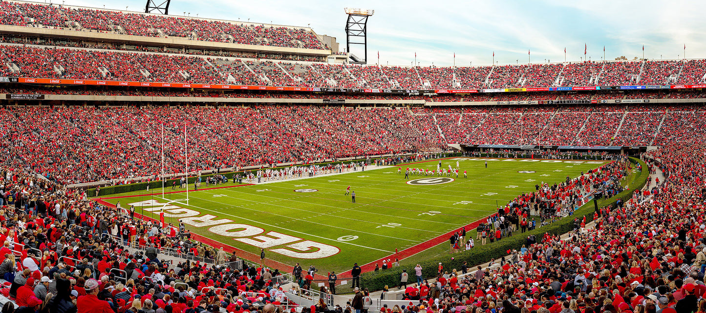 Sanford Football Stadium Georgia Wall Mural