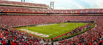 Sanford Football Stadium Georgia Wall Mural