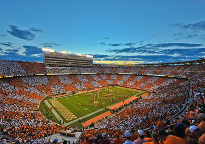 Tennessee Neyland Stadium Wall Mural