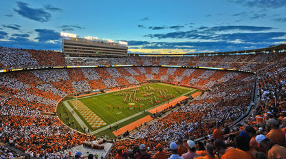 Tennessee Neyland Stadium Wall Mural