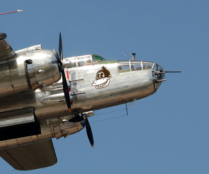 Vintage Smiling Monkey Wall Art Decal