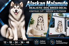 Alaskan Malamute decal summary — 12 to 48 inch heights, indoor and outdoor