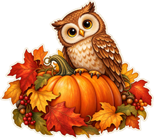 Autumn Owl Harvest standalone