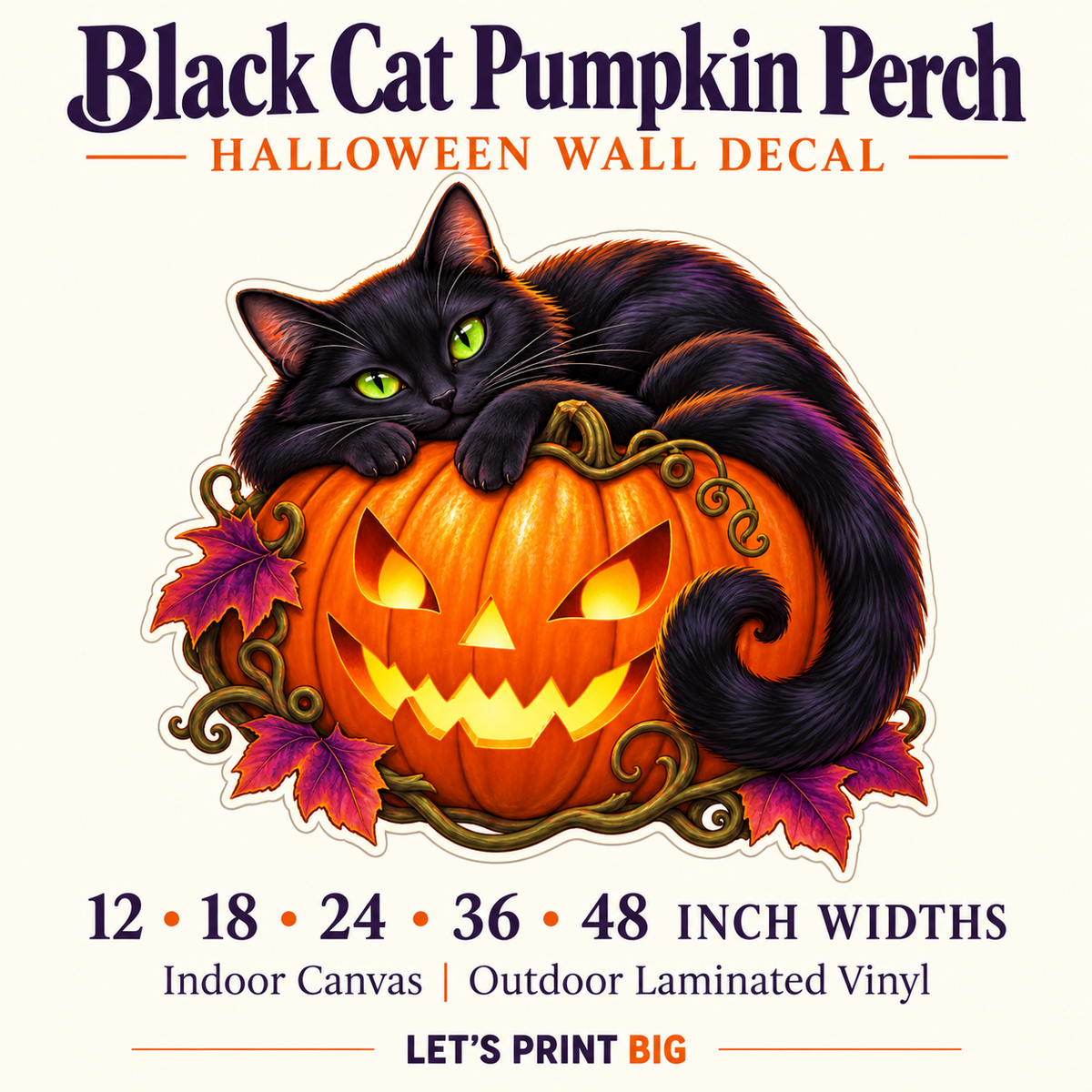 Black Cat Pumpkin Perch summary