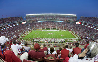 Bryant–Denny Stadium Football Stadium at Night Wall Mural