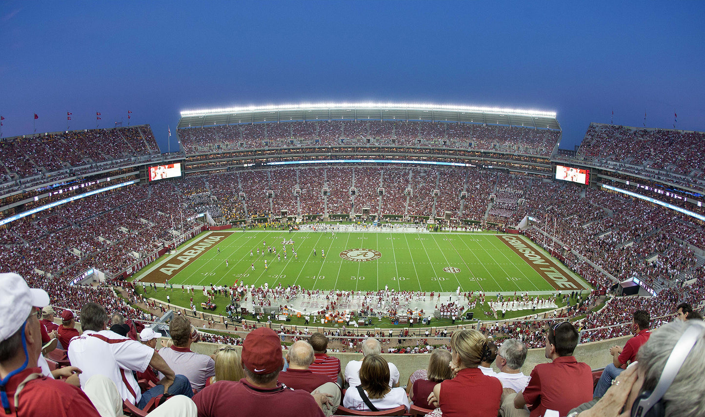 Bryant–Denny Stadium Football Stadium at Night Wall Mural