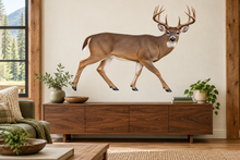 Majestic Whitetail Buck Realistic Large Wall Decal room mockup, illustrative size