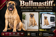 Bullmastiff decal summary — 12 to 48 inch heights, indoor and outdoor