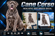 Cane Corso decal summary — 12 to 48 inch heights, indoor and outdoor