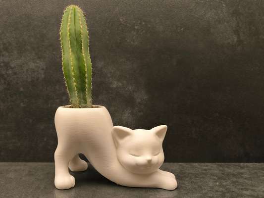 Cat Cactus Planter Display
