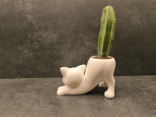 Cat Cactus Planter Display