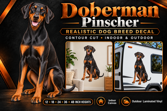 Doberman Pinscher decal summary with indoor and outdoor examples — sizes 12 to 48 inches high
