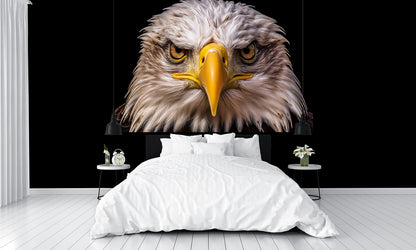 Incredible American Bald Eagle Head Face Wallpaper Mural