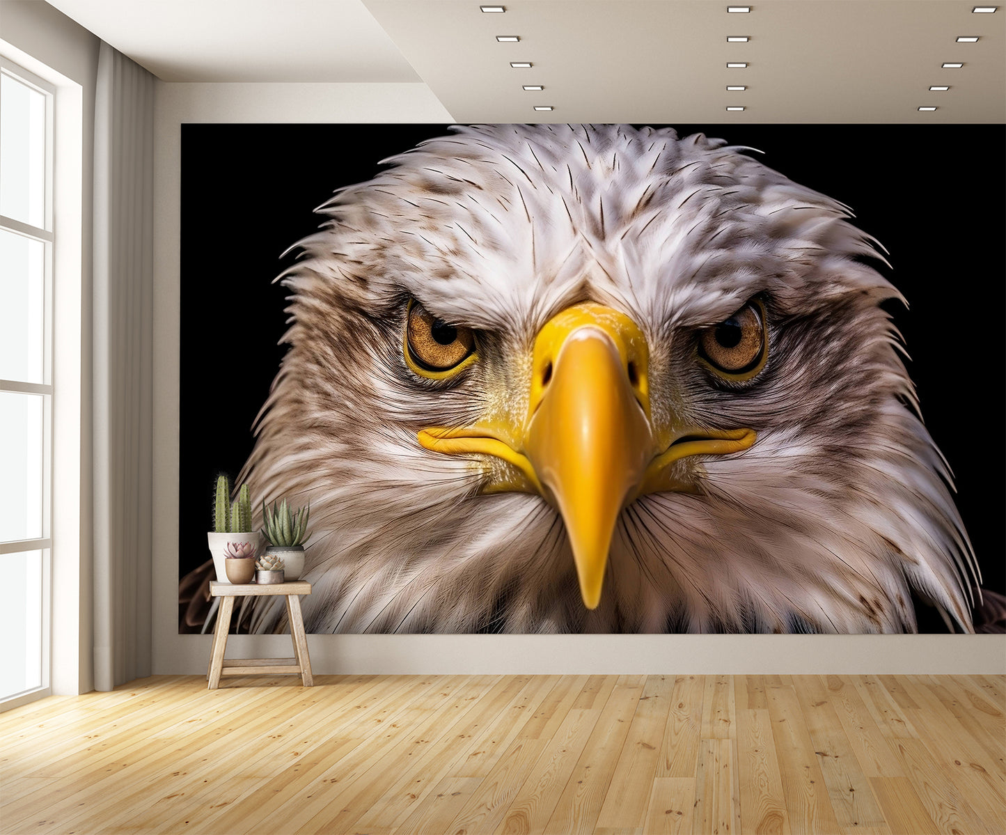 Incredible American Bald Eagle Head Face Wallpaper Mural