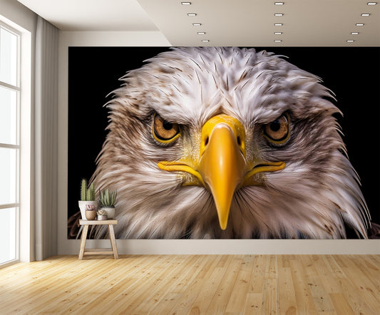 Incredible American Bald Eagle Head Face Wallpaper Mural