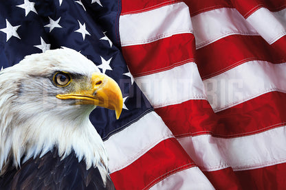 Patriotic Wallpaper Eagle Head with American Flag Wall Mural proof