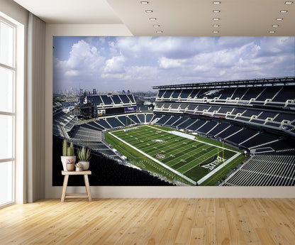 Lincoln Financial Field Stadium Wall Mural