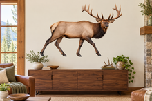 elk wildlife wall decal room mockup, illustrative size
