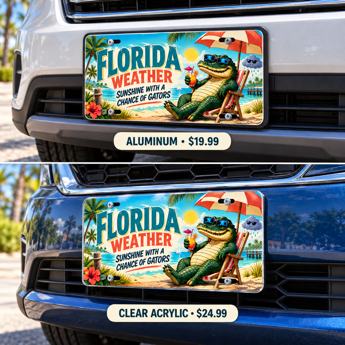 Florida Weather Report funny license plate — aluminum and acrylic plates mounted on vehicles