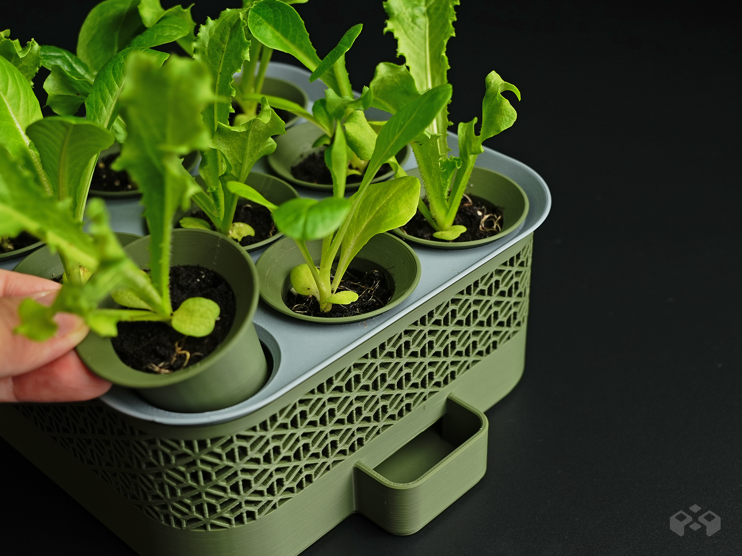 Self Watering Seed Starter with Modular Grow Kit
