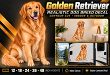 Golden Retriever decal summary — 12, 18, 24, 36 and 48 inch heights
