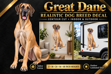 Great Dane decal summary with indoor and outdoor examples — sizes 12 to 48 inches high