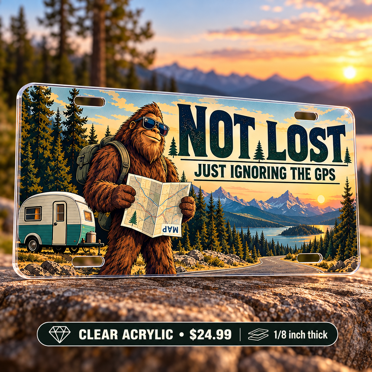 Ignoring the GPS funny license plate — one-eighth-inch reverse UV printed acrylic $24.99