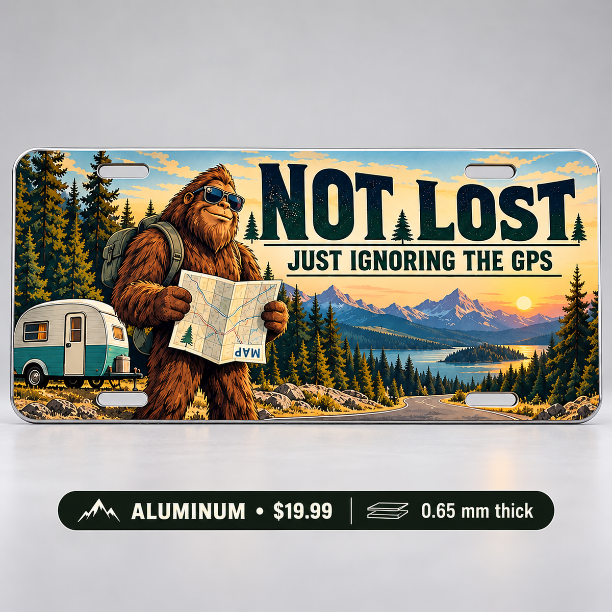Ignoring the GPS funny license plate — 0.65 mm aluminum $19.99