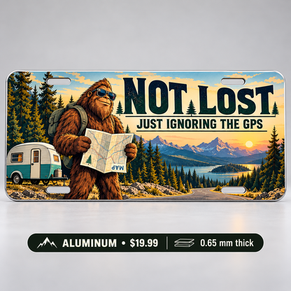Ignoring the GPS funny license plate — 0.65 mm aluminum $19.99