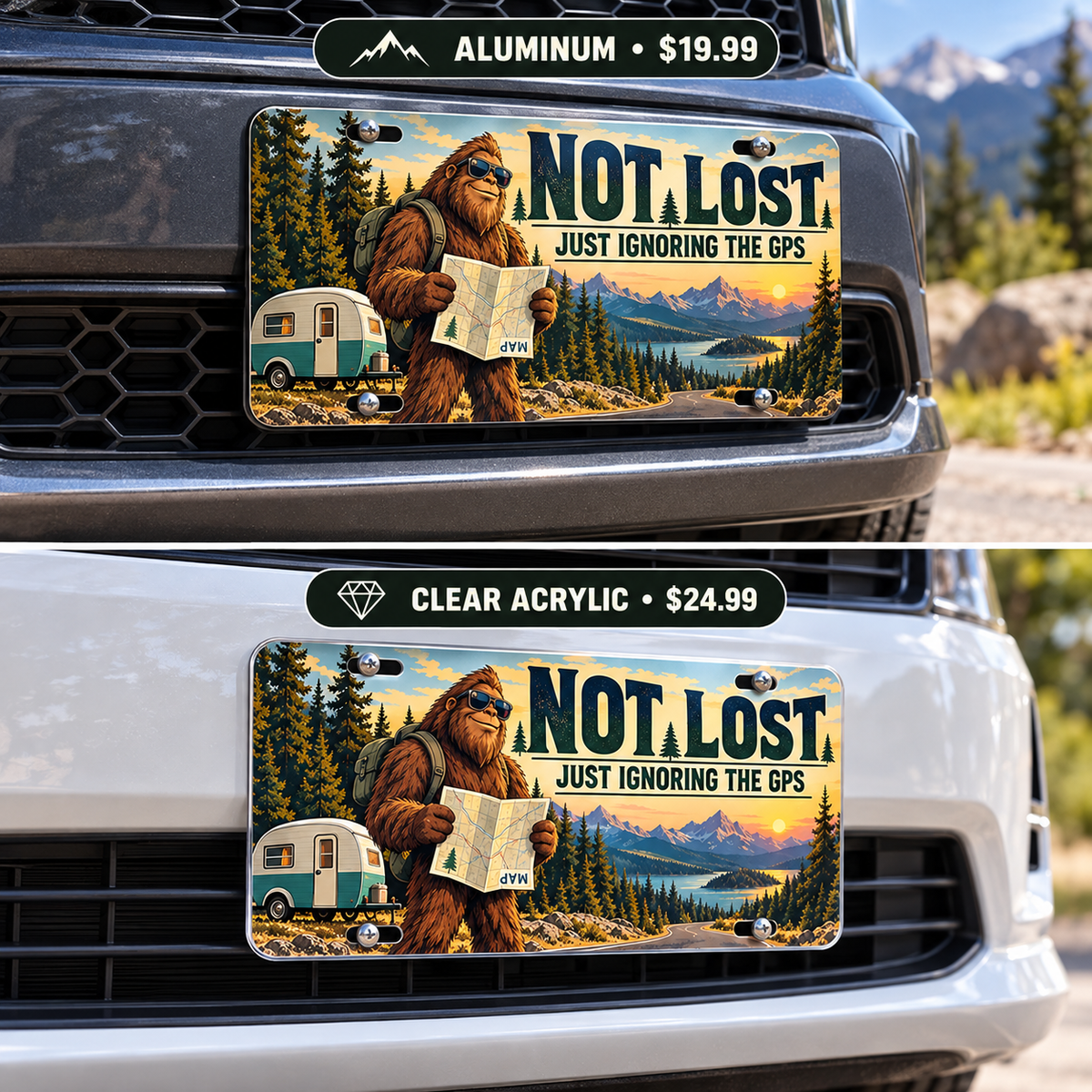 Ignoring the GPS funny license plate — aluminum and acrylic plates mounted on vehicles