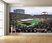 Kinnick Football Stadium Daytime American Flag Wall Mural