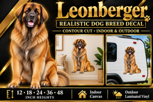 Leonberger decal summary — 12 to 48 inch heights, indoor and outdoor