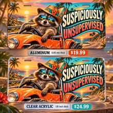 Suspiciously Unsupervised funny license plate — aluminum and clear acrylic comparison with prices