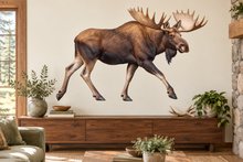moose wildlife wall decal room mockup, illustrative size